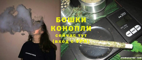 сатива Арсеньев