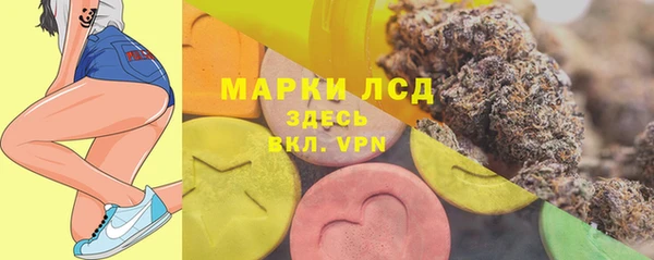 сатива Арсеньев