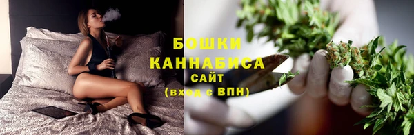 сатива Армянск
