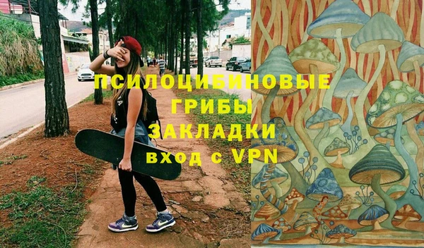 сатива Армянск
