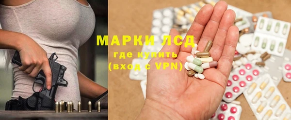 сатива Арсеньев