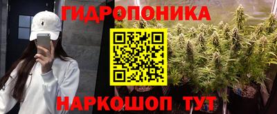 индика Коммунар
