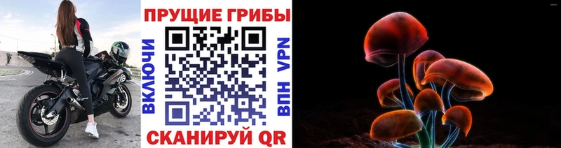 Псилоцибиновые грибы ЛСД  ОМГ ОМГ   Каменск-Уральский 