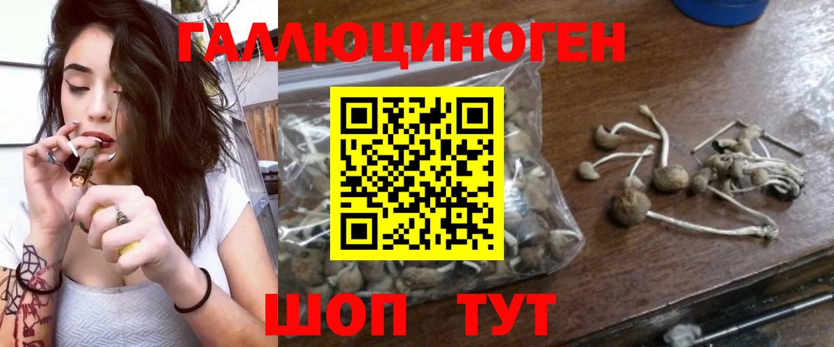 Галлюциногенные грибы MAGIC MUSHROOMS Каменск-Уральский