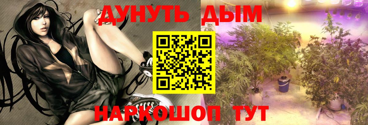 Бошки марихуана LSD WEED  Шишки марихуана сатива  Марихуана AK-47  Вход с VPN  Каменск-Уральский 